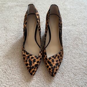 Leopard Print Pointed Toe Pumps - Brown/Black by 1.STATE